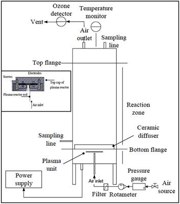 Cell Lysis and Detoxification of Cyanotoxins Using a Novel Combination of Microbubble Generation and Plasma Microreactor Technology for Ozonation